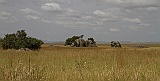 View with rockformations in Serengeti